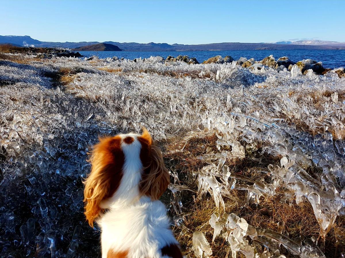 Thingvellir Lake Cottage Veithilundur Esterno foto