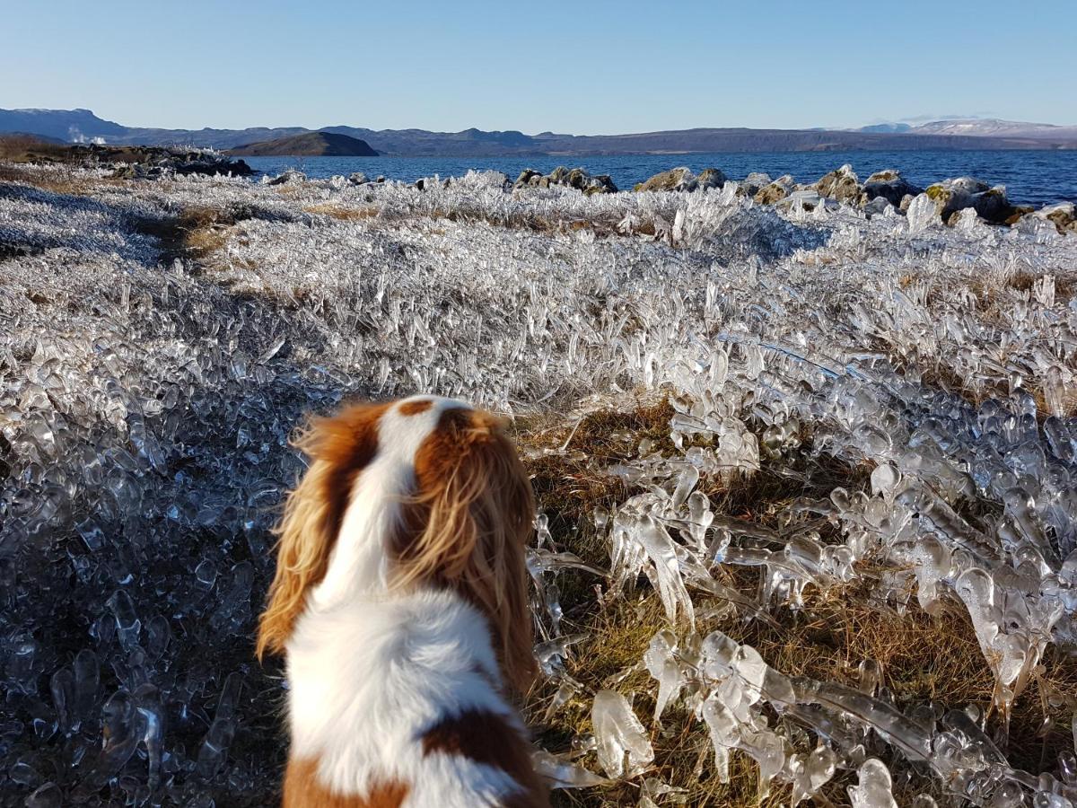 Thingvellir Lake Cottage Veithilundur Esterno foto